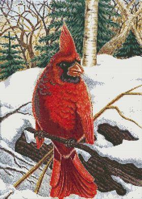 click here to view larger image of Winter Cardinal (chart)