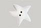 click here to view larger image of Medium Ivory Star (buttons)