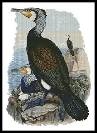 click here to view larger image of Cormorant  (John Gould) (chart)