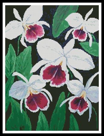 click here to view larger image of Cattleya Orchids  (Barbara Haviland) (chart)