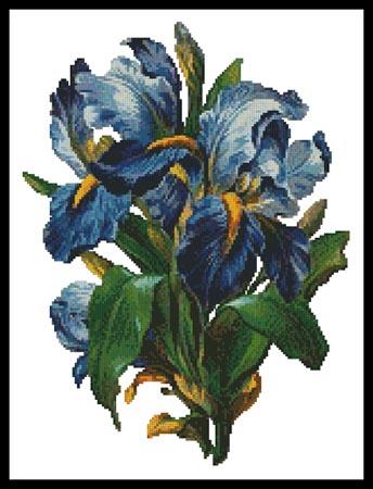 click here to view larger image of Bunch of Irises (chart)