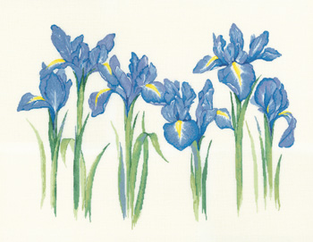 click here to view larger image of Irises (27ct) (counted cross stitch kit)
