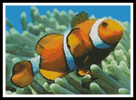 click here to view larger image of Clownfish (chart)