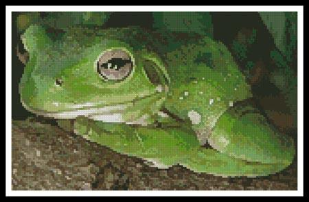 click here to view larger image of Green Tree Frog 2 (chart)