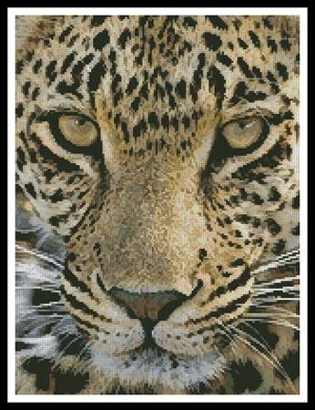 click here to view larger image of Leopard Close Up (chart)