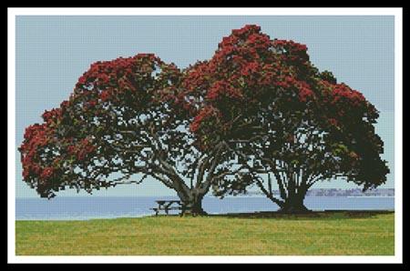 click here to view larger image of Pohutukawa Trees  (chart)