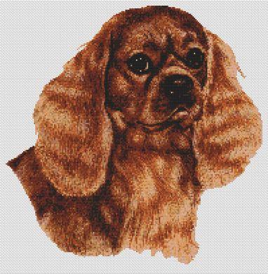 click here to view larger image of Cavalier King Charles - Ruby (chart)