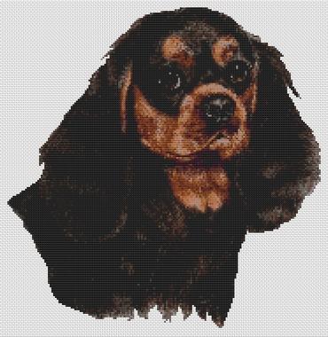 click here to view larger image of Cavalier King Charles Spaniel - Black and Tan (chart)