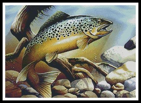 click here to view larger image of Brown Trout (Thomas Wood) (chart)