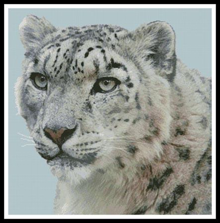 click here to view larger image of Snow Leopard Photo (chart)