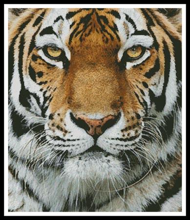 click here to view larger image of Tiger Portrait (chart)