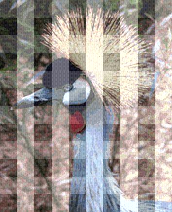 click here to view larger image of Crowned Crane (chart)