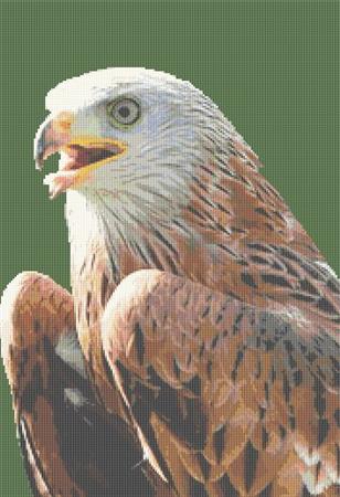 click here to view larger image of Red Kite Close Up (chart)