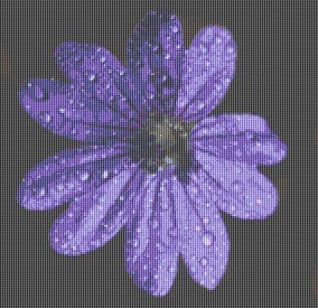 click here to view larger image of Dew Flower (chart)