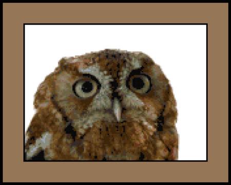 click here to view larger image of Curious Owl (chart)