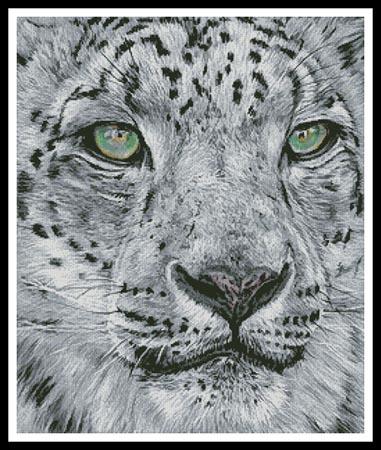 click here to view larger image of Snow Leopard Portrait (chart)