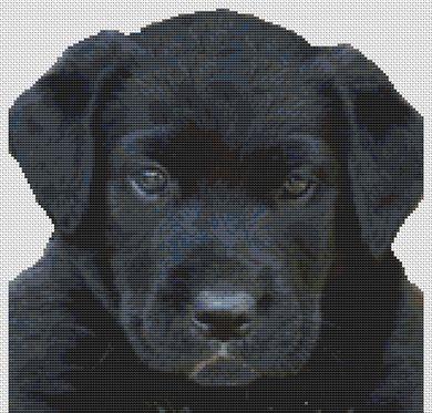click here to view larger image of Black Lab Puppy (chart)