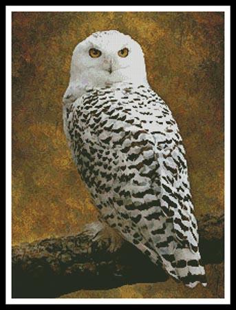 click here to view larger image of Snowy Owl (chart)