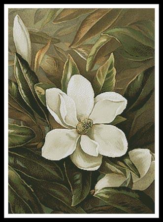 click here to view larger image of Magnolia Grandiflora  (Alicia Laird) (chart)
