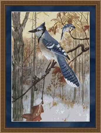 click here to view larger image of Blue Jay Bird (chart)