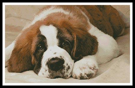 click here to view larger image of St Bernard Photo (chart)