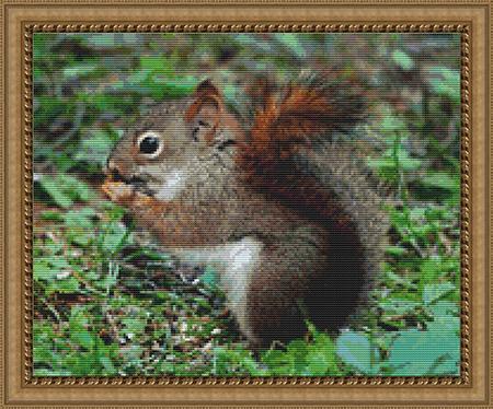 click here to view larger image of Squirrel (chart)