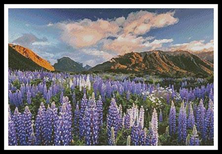 click here to view larger image of Lupins (chart)