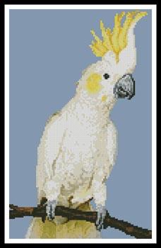 click here to view larger image of Mini Sulphur Crested Cockatoo (chart)