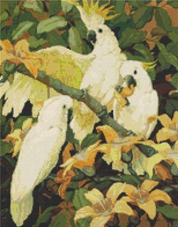 click here to view larger image of Sulphur Crested Cockatoos (Jessie Arms Botke) (chart)