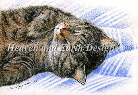 click here to view larger image of Sleepy Tabby (chart)