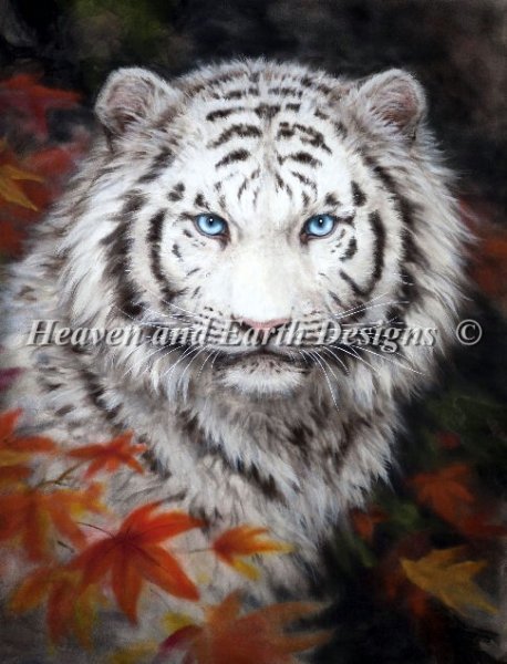 click here to view larger image of White Tiger Autumn (chart)