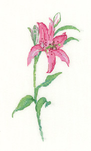 click here to view larger image of Pink Lily - Sue Hill Flowers (27ct) (counted cross stitch kit)