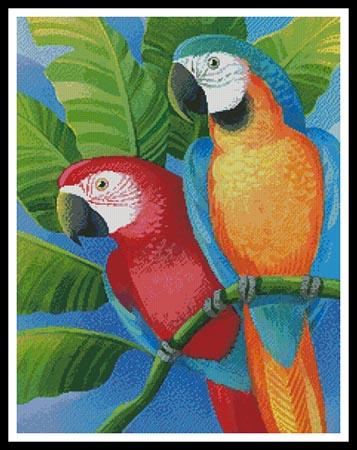 click here to view larger image of Parrots  (Johnny Karwan) (chart)