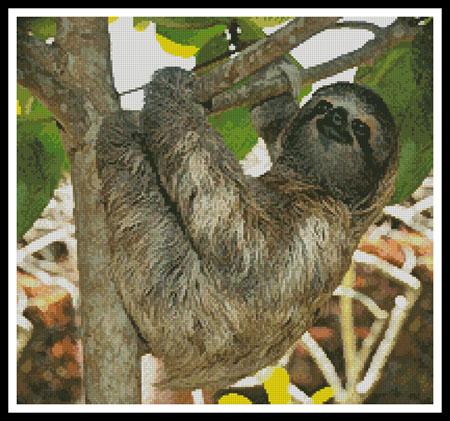 click here to view larger image of Three Toed Sloth (chart)