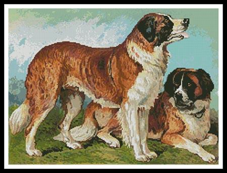 click here to view larger image of Rough Coated St Bernard  (Cassell) (chart)