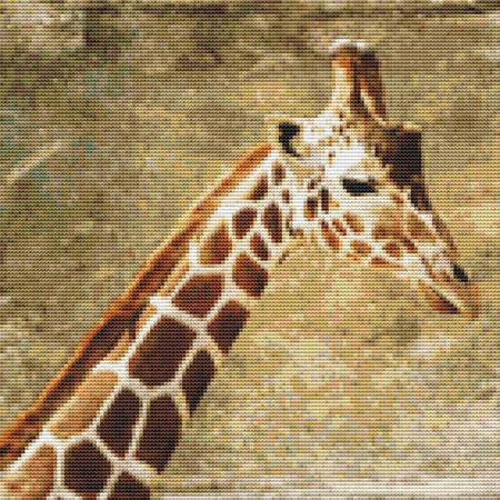 click here to view larger image of Giraffe Painting (chart)