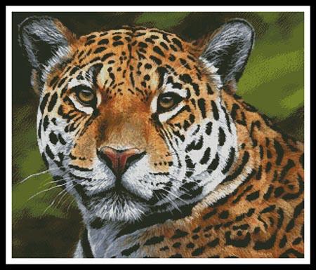 click here to view larger image of Jaguar Portrait  (Jason Morgan) (chart)