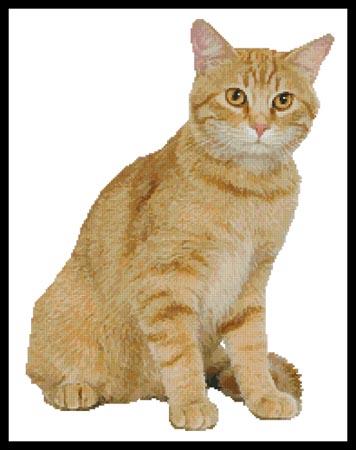 click here to view larger image of Ginger Cat (chart)