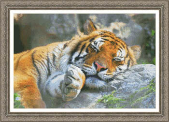 click here to view larger image of Tiger Dreams (chart)