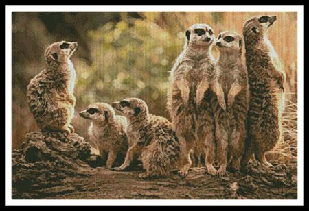 click here to view larger image of Meerkat Family (chart)