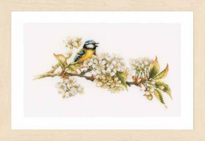 click here to view larger image of Blue Tit (14ct) (counted cross stitch kit)