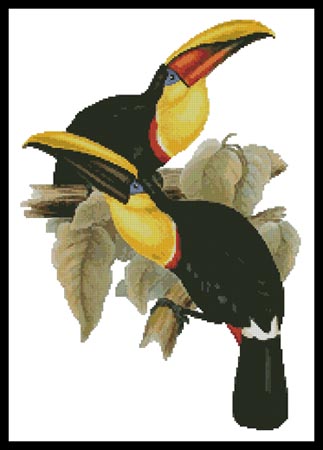click here to view larger image of Toucans  (John Gould) (chart)