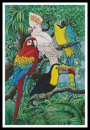 click here to view larger image of Tropical Birds  (Gail Gastfield) (chart)