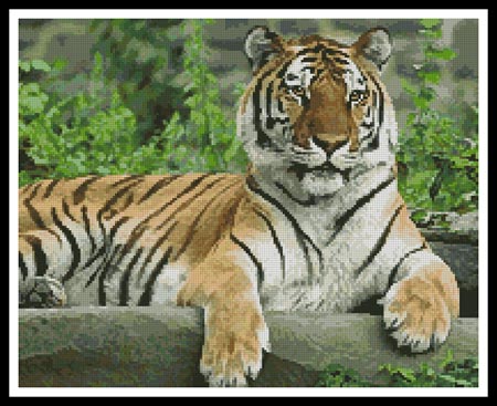 click here to view larger image of Tiger  (chart)