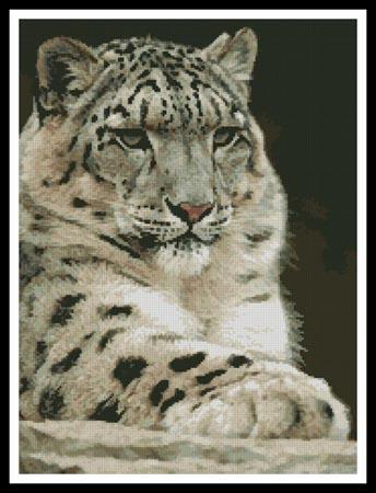 click here to view larger image of Snow Leopard 2 (chart)