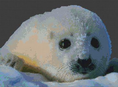 click here to view larger image of Baby Seal (chart)