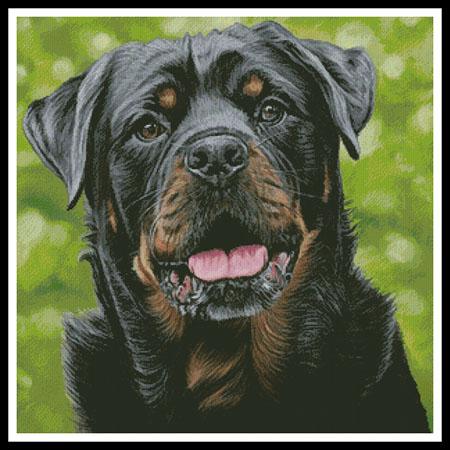 click here to view larger image of George the Rottweiler  (Lisa Ann Watkins) (chart)