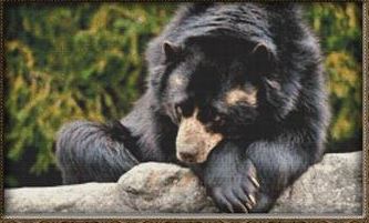 click here to view larger image of Resting Bear (chart)