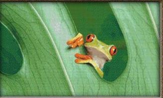 click here to view larger image of Tree Frog (chart)