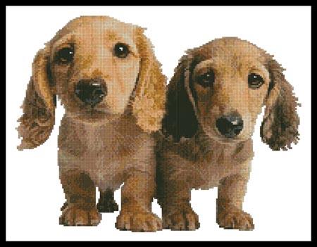 click here to view larger image of Dachshund Puppies  (Wojtek Kalinowski) (chart)